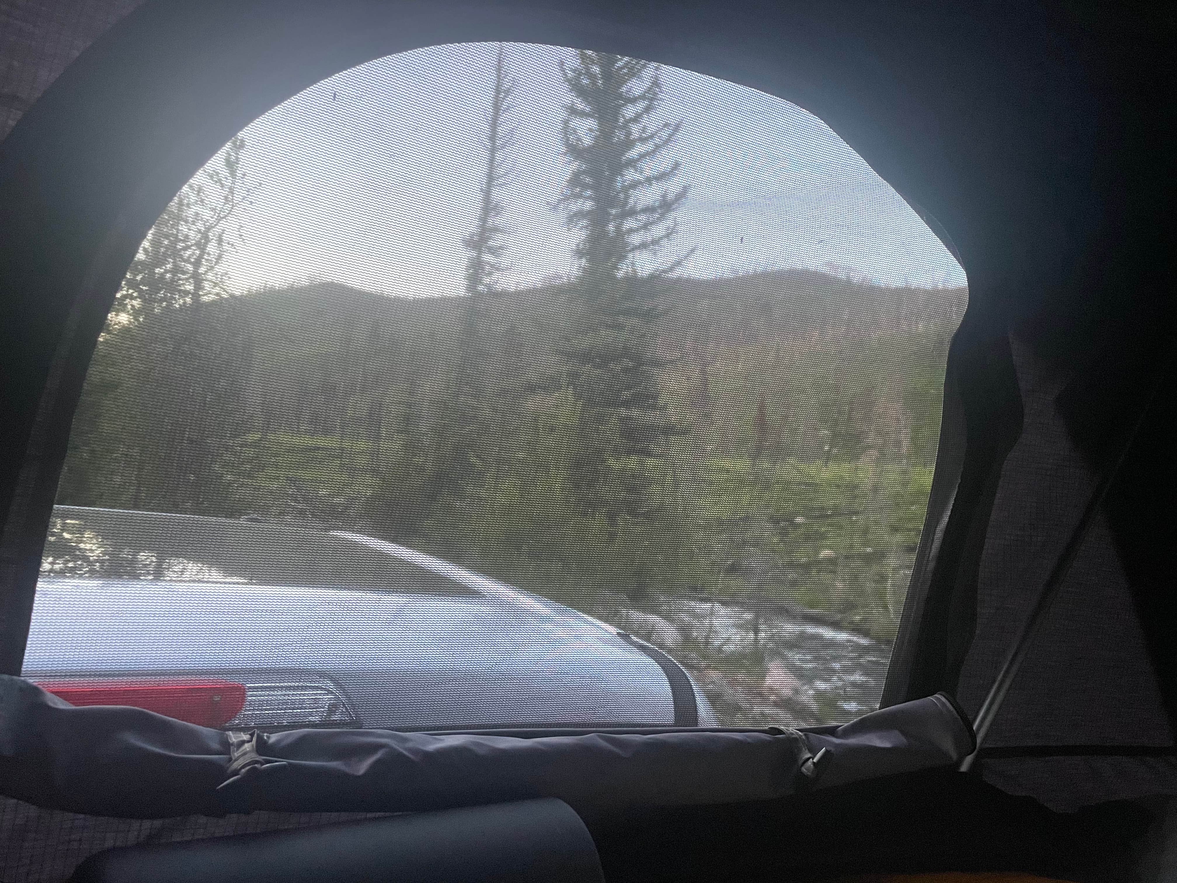 Camper submitted image from Ute Pass Dispersed Camping - 5