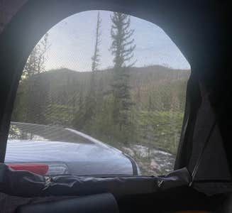 Camper-submitted photo from Ute Pass Dispersed Camping