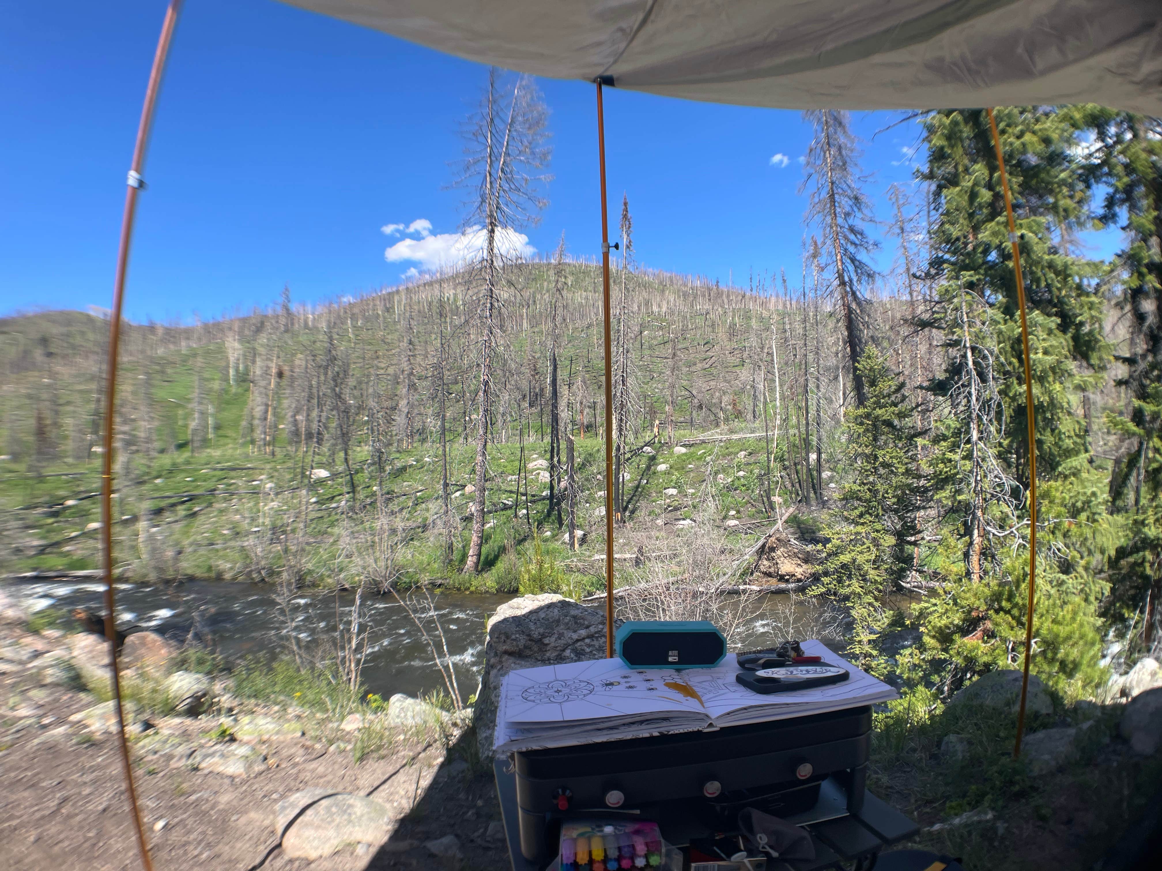 Ute Pass Dispersed Camping
