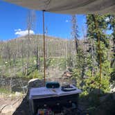 Review photo of Ute Pass Dispersed Camping by Joseph J., June 26, 2023