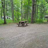 Review photo of Camden Hills State Park Campground by Jean C., October 19, 2018