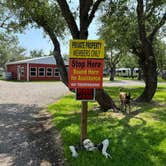 Review photo of Silver Oaks RV Airstream Park by Napunani , June 26, 2023