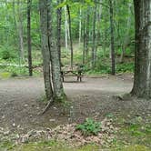 Review photo of Camden Hills State Park Campground by Jean C., October 19, 2018