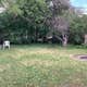 Tony’s Backyard