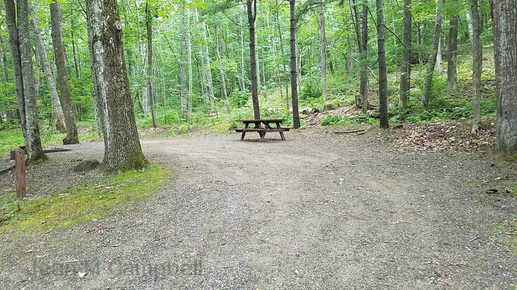 Camper-submitted photo at Camden Hills State Park Campground in Maine