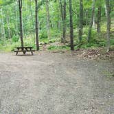 Review photo of Camden Hills State Park Campground by Jean C., October 19, 2018