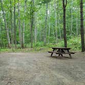 Review photo of Camden Hills State Park Campground by Jean C., October 19, 2018