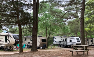 Donna B.'s photo at Ozark RV Park and Cabins near Batesville, AR
