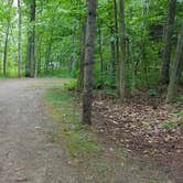 Review photo of Camden Hills State Park Campground by Jean C., October 19, 2018