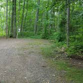 Review photo of Camden Hills State Park Campground by Jean C., October 19, 2018