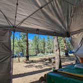 Review photo of Heart Bar Campground by Matt L., June 26, 2023