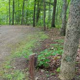 Review photo of Camden Hills State Park Campground by Jean C., October 19, 2018