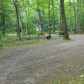 Review photo of Camden Hills State Park Campground by Jean C., October 19, 2018