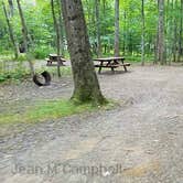 Review photo of Camden Hills State Park Campground by Jean C., October 19, 2018