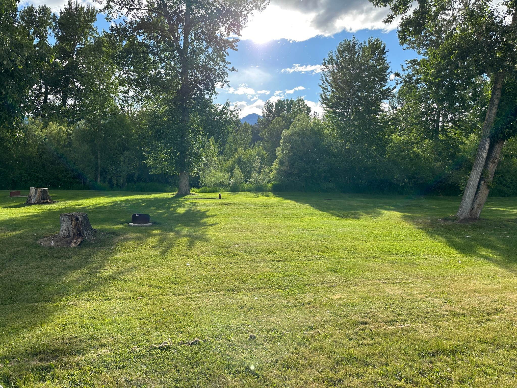 Camper-submitted photo at Black Rabbit RV near Hamilton, MT