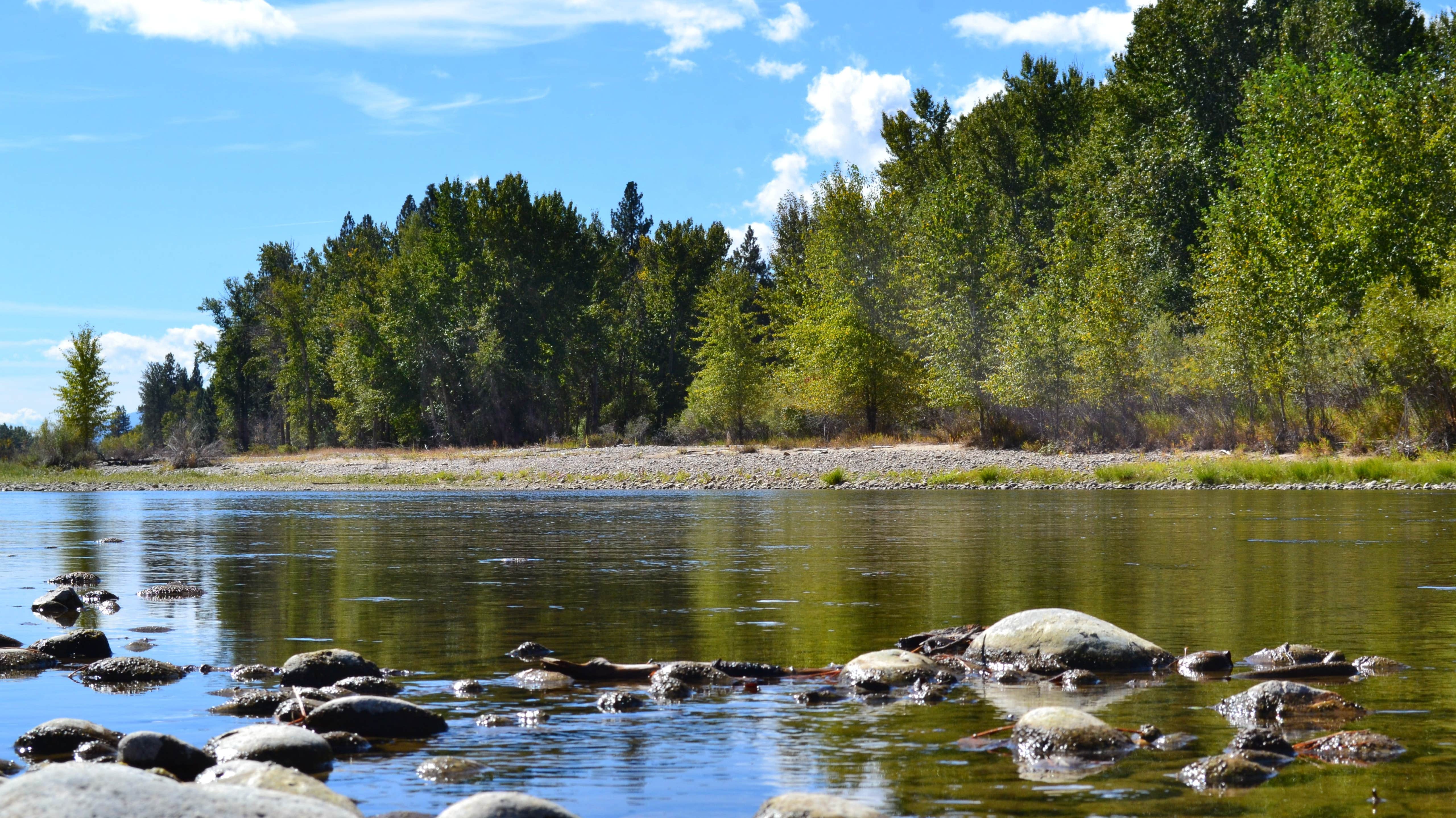Camper-submitted photo at Black Rabbit RV near Corvallis, MT