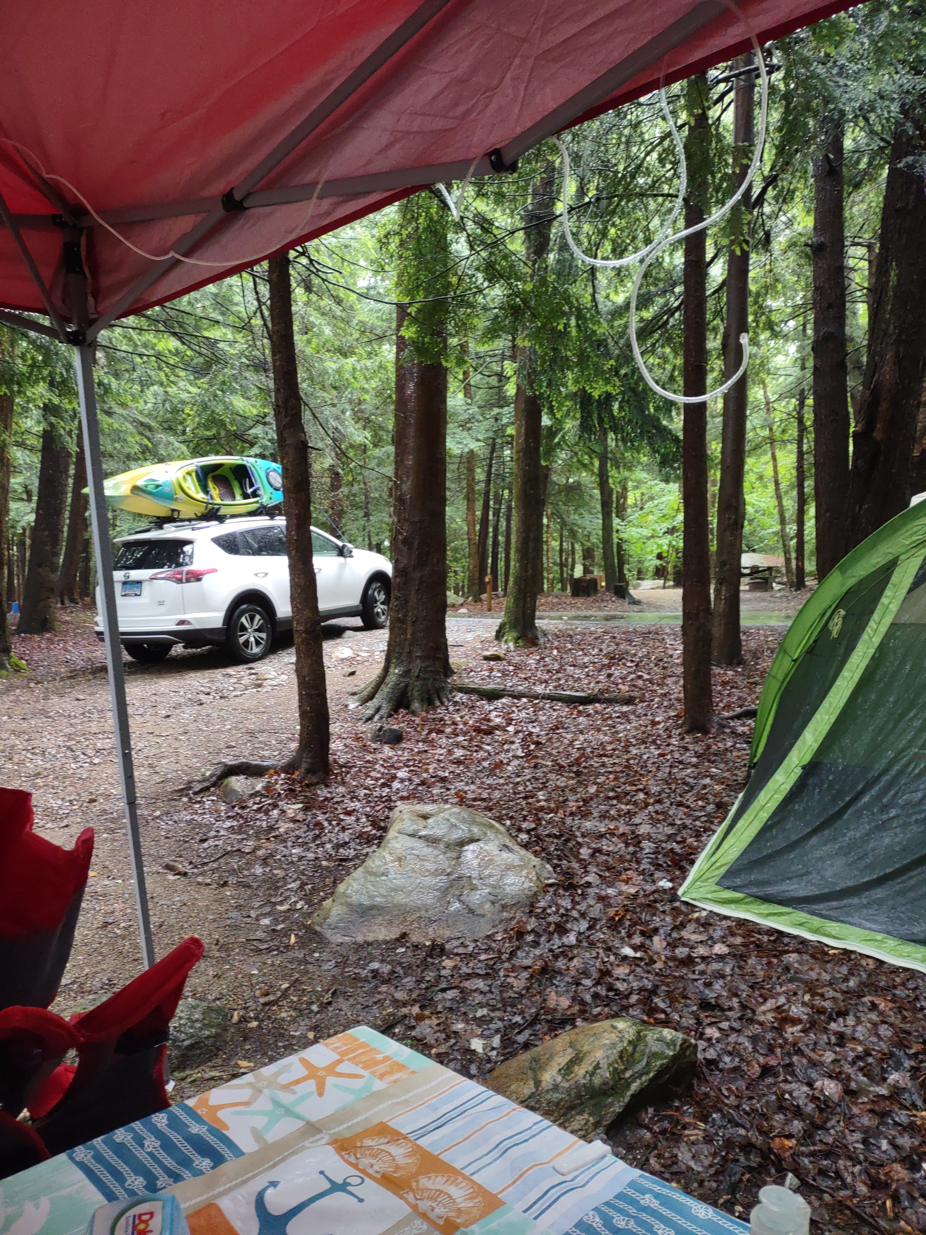 Cynthia K.'s photo at Clarksburg State Park Campground near Wilmington, VT