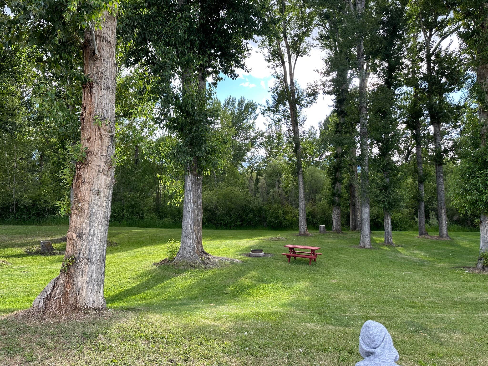 Camper-submitted photo at Black Rabbit RV near Hamilton, MT