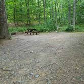 Review photo of Camden Hills State Park Campground by Jean C., October 19, 2018