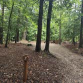 Review photo of Clarksburg State Park Campground by Cynthia K., June 26, 2023