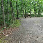 Review photo of Camden Hills State Park Campground by Jean C., October 19, 2018