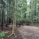 Review photo of Clarksburg State Park Campground by Cynthia K., June 26, 2023