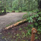 Review photo of Clarksburg State Park Campground by Cynthia K., June 26, 2023