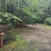 Review photo of Clarksburg State Park Campground by Cynthia K., June 26, 2023