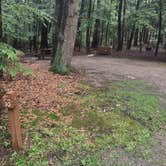 Review photo of Clarksburg State Park Campground by Cynthia K., June 26, 2023