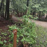 Review photo of Clarksburg State Park Campground by Cynthia K., June 26, 2023