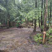 Review photo of Clarksburg State Park Campground by Cynthia K., June 26, 2023