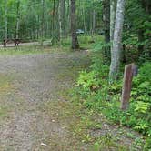 Review photo of Camden Hills State Park Campground by Jean C., October 19, 2018