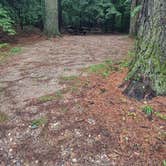 Review photo of Clarksburg State Park Campground by Cynthia K., June 26, 2023