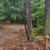 Review photo of Clarksburg State Park Campground by Cynthia K., June 26, 2023