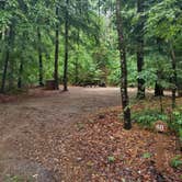 Review photo of Clarksburg State Park Campground by Cynthia K., June 26, 2023