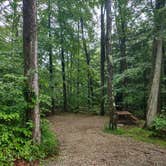 Review photo of Clarksburg State Park Campground by Cynthia K., June 26, 2023