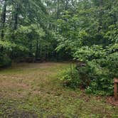 Review photo of Clarksburg State Park Campground by Cynthia K., June 26, 2023