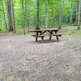 Review photo of Camden Hills State Park Campground by Jean C., October 19, 2018