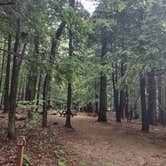 Review photo of Clarksburg State Park Campground by Cynthia K., June 26, 2023