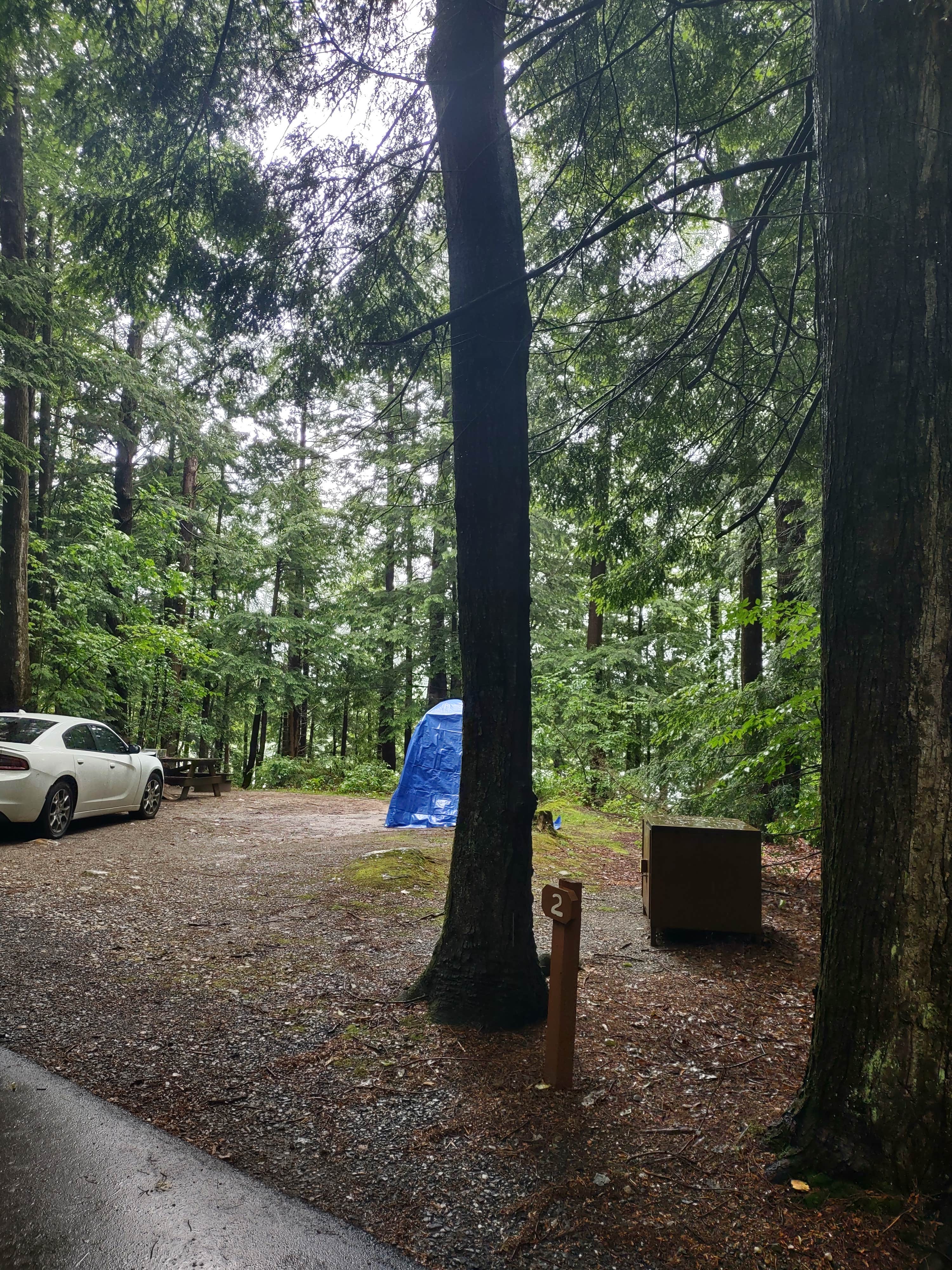 Cynthia K.'s photo at Clarksburg State Park Campground near Florida, MA