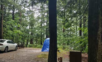 Cynthia K.'s photo at Clarksburg State Park Campground near North Adams, MA