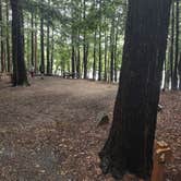 Review photo of Clarksburg State Park Campground by Cynthia K., June 26, 2023