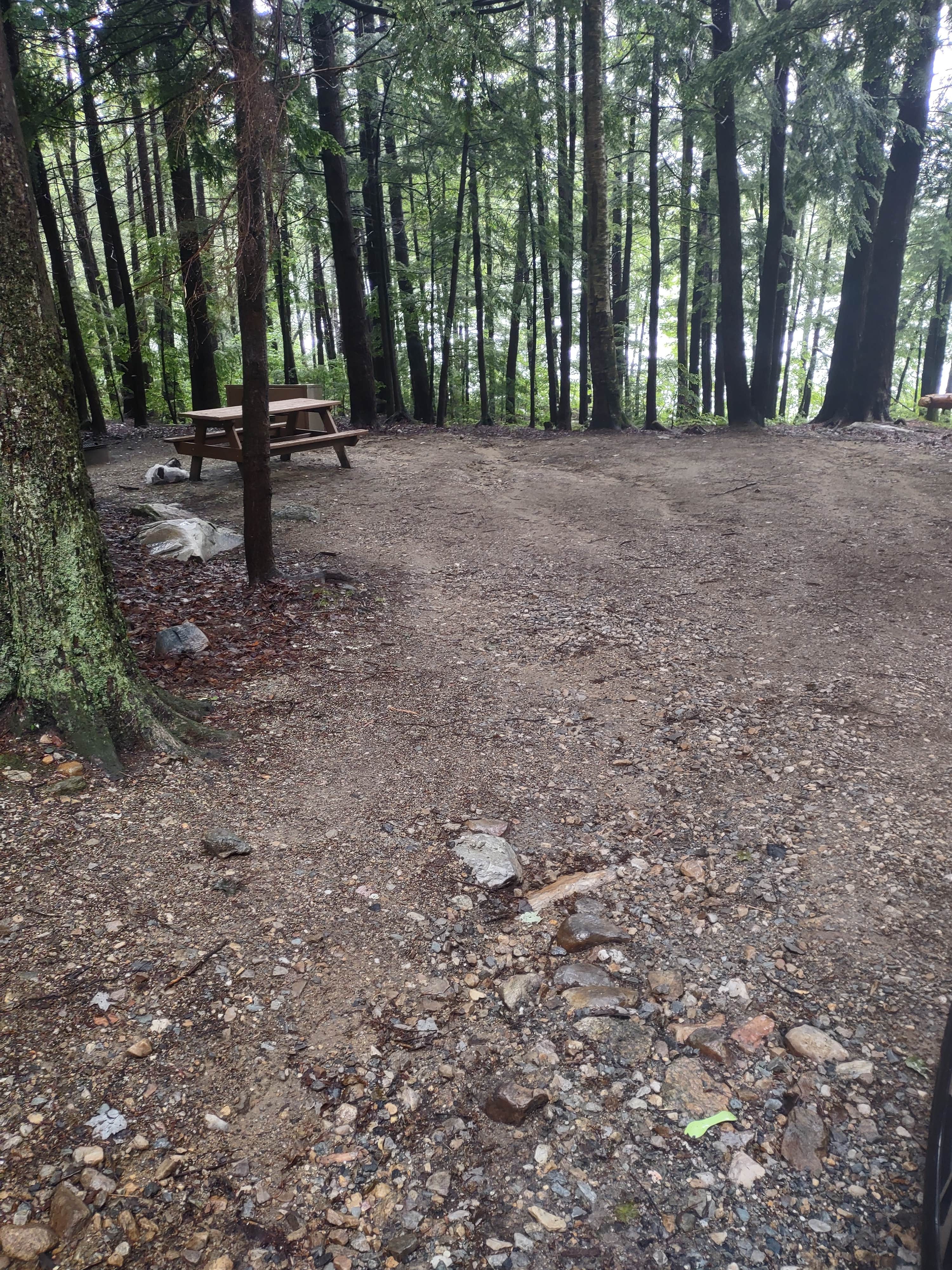 Cynthia K.'s photo of camping with pets at Clarksburg State Park Campground near Drury, MA