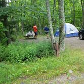 Review photo of Camden Hills State Park Campground by Jean C., October 19, 2018