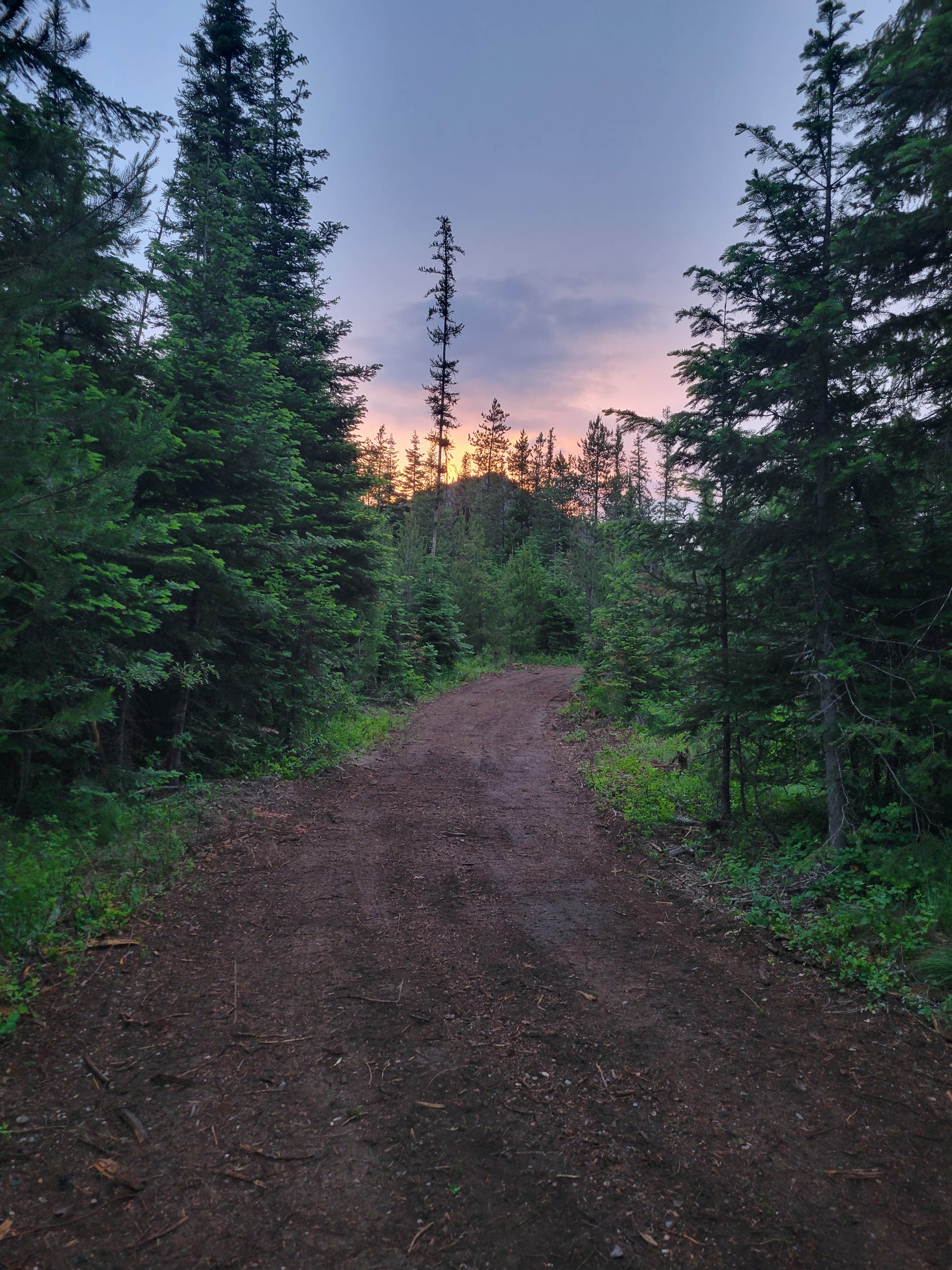 Camping near Silver Beach Resort: Brown Barrel, Loon Lake, Washington