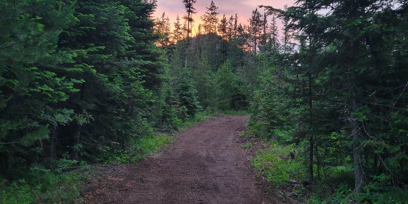 Camper submitted image from Brown Barrel