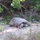 Review photo of Anastasia State Park Campground by Damon O., June 26, 2023