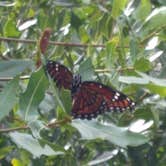 Review photo of Anastasia State Park Campground by Damon O., June 26, 2023