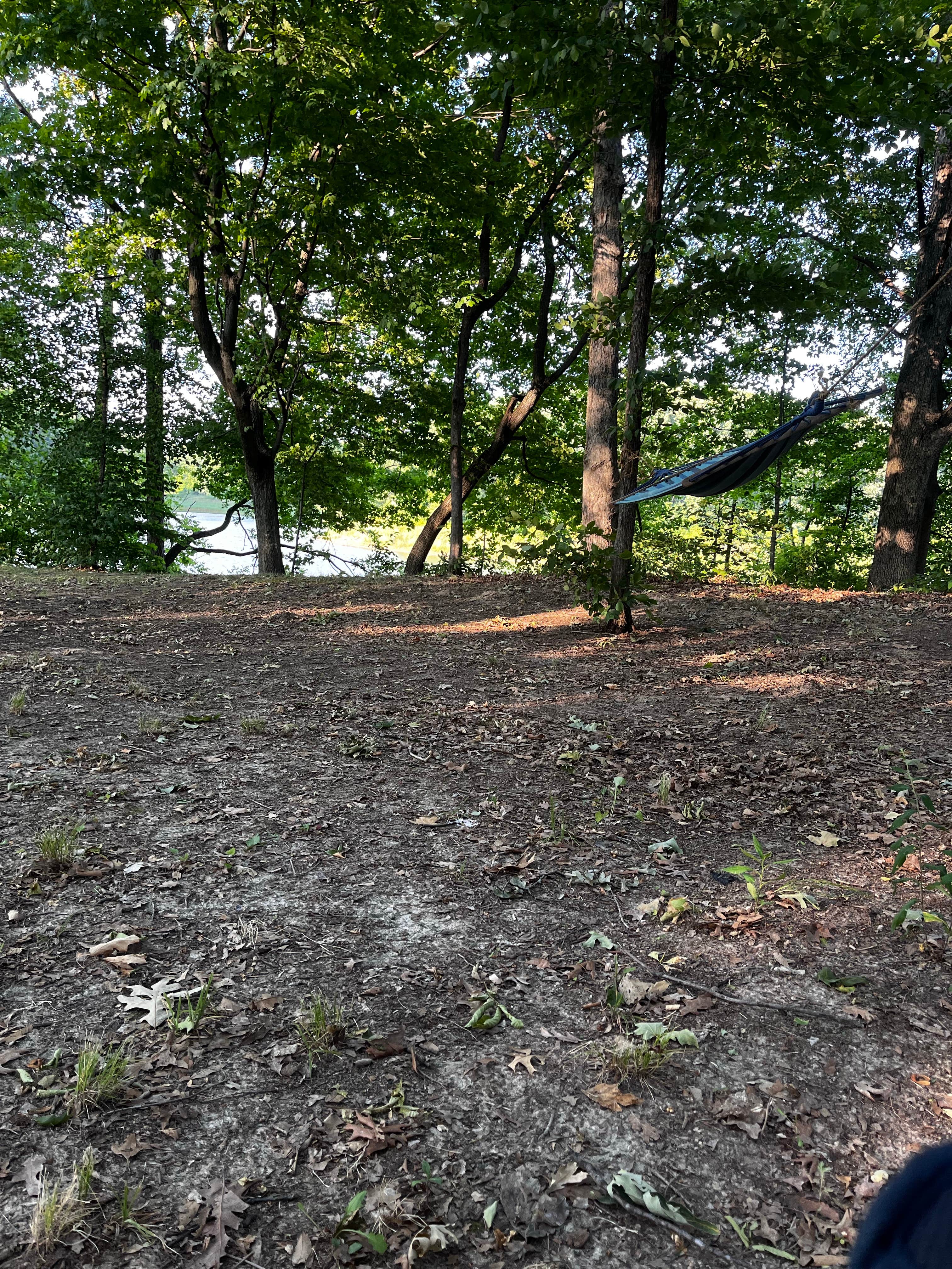 Camper submitted image from Forrest W. Bo Wood - 3