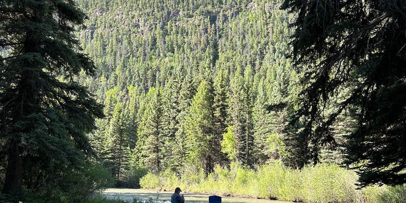 Camper submitted image from Alamosa